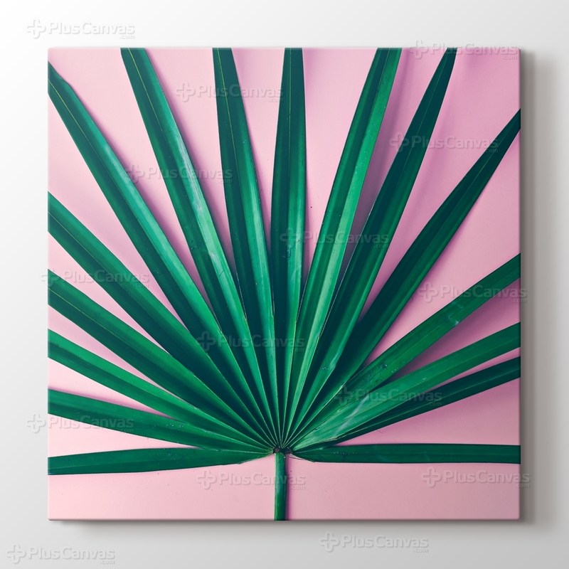 Palm Pink görseli.