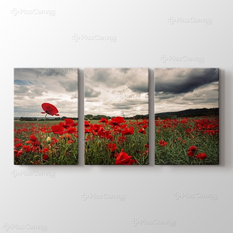 Poppy Field görseli.