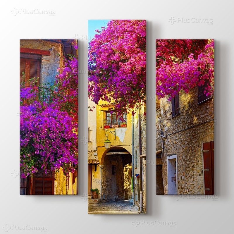 Erguvan ve Provence Sokakları görseli.