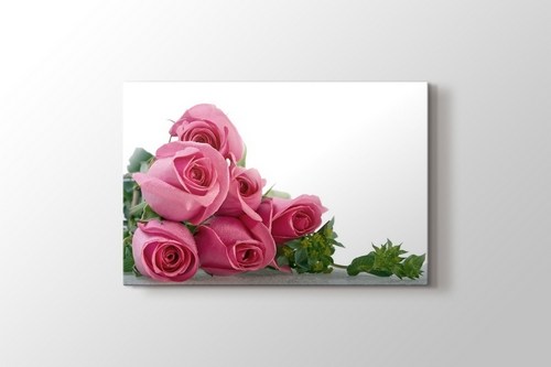 Pink Roses görseli.