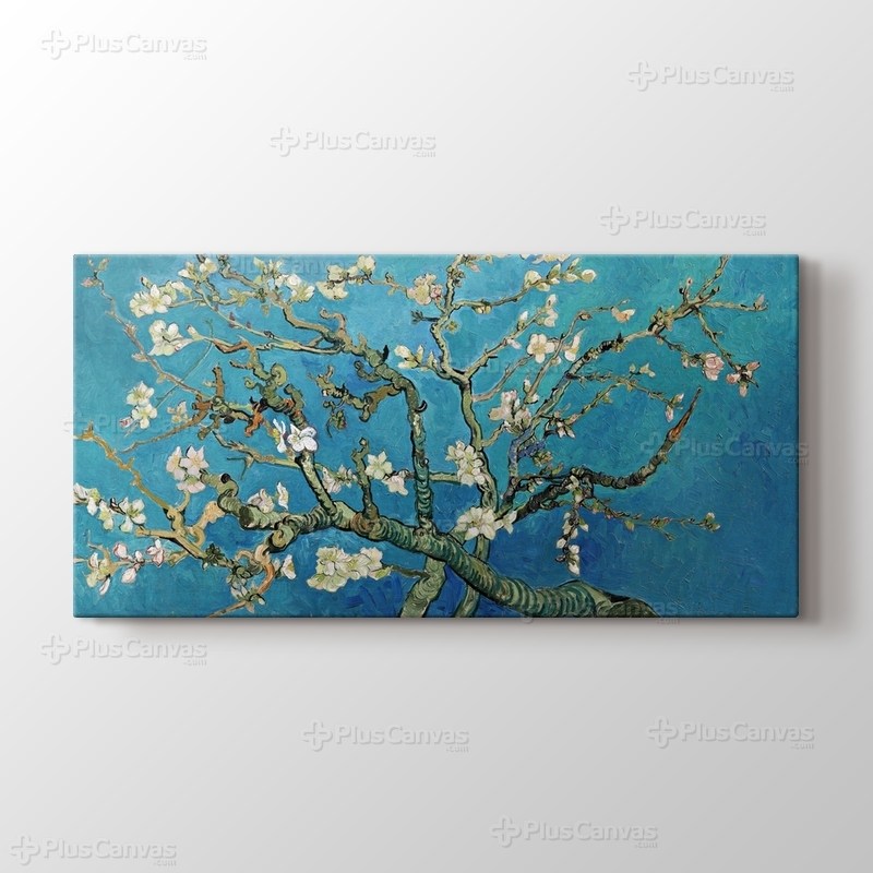 Çiçek Açan Badem Ağacı - Almond Blossom görseli.