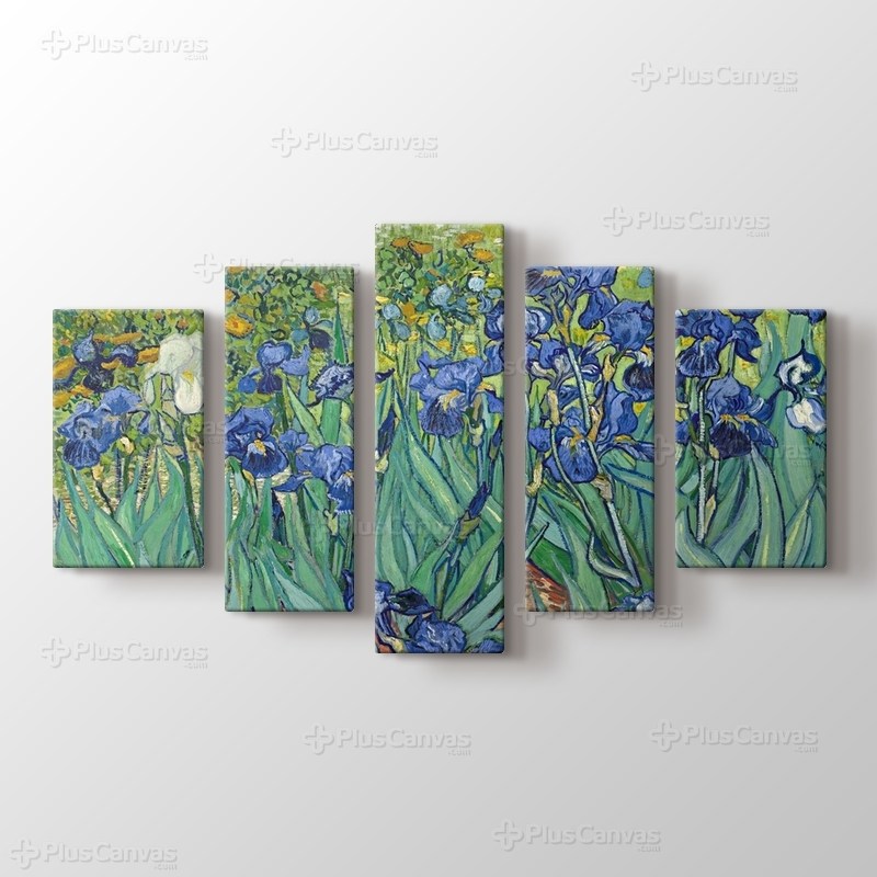 Irises görseli.