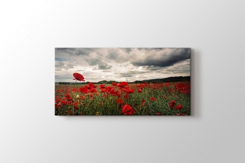 Poppy Field görseli.