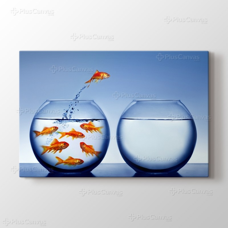 Goldfish Jumping Out Of The Water görseli.