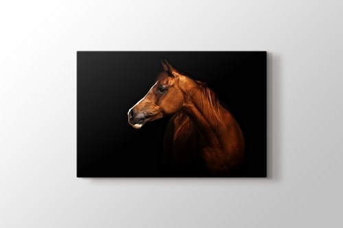 Brown Horse görseli.