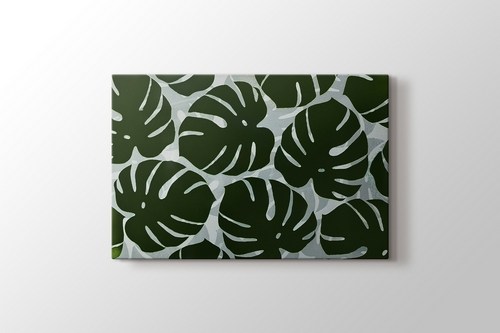 Monstera görseli.