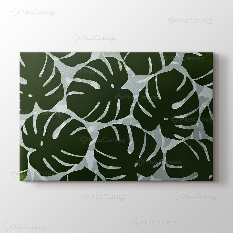 Monstera görseli.