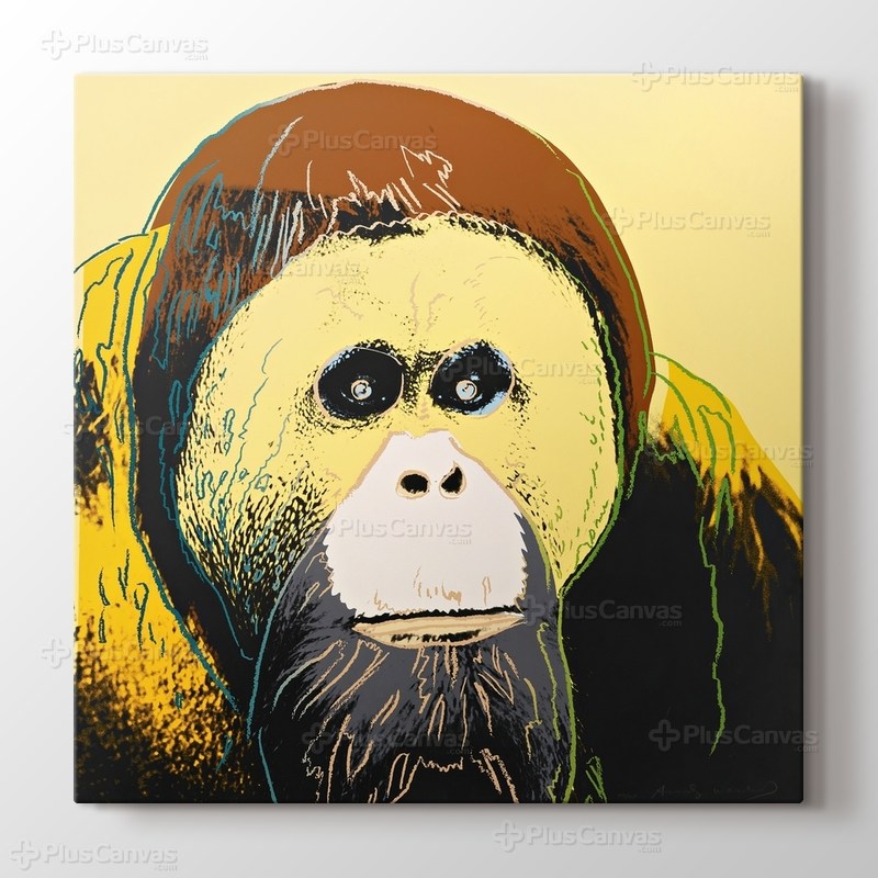 Orangutan görseli.