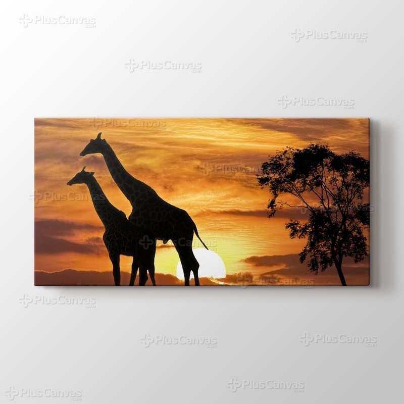 Giraffes and the Sunset görseli.
