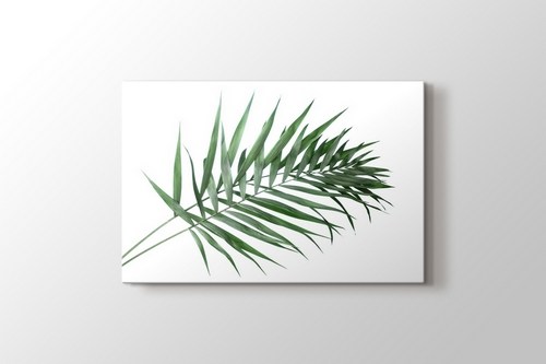 Beautiful Palm Leaves görseli.