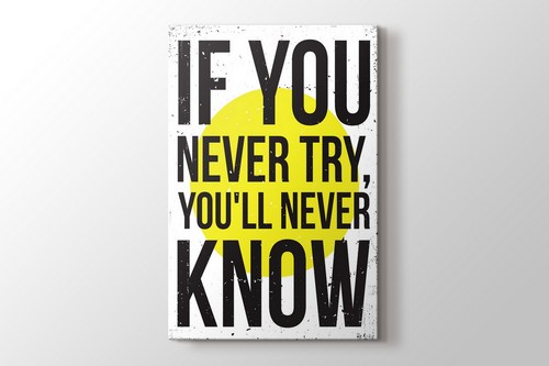 Never Try Never Know görseli.
