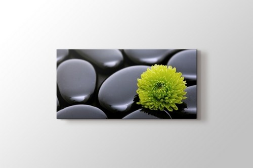 Black Pebbles and Flower görseli.