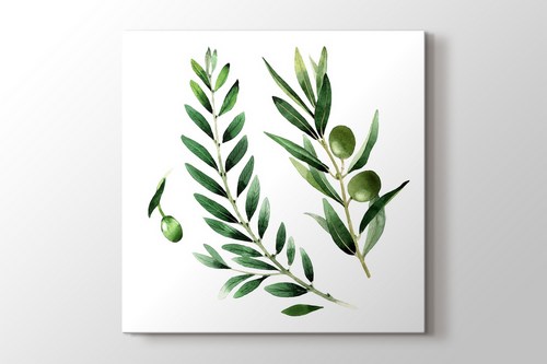 Zeytin Dalı görseli.