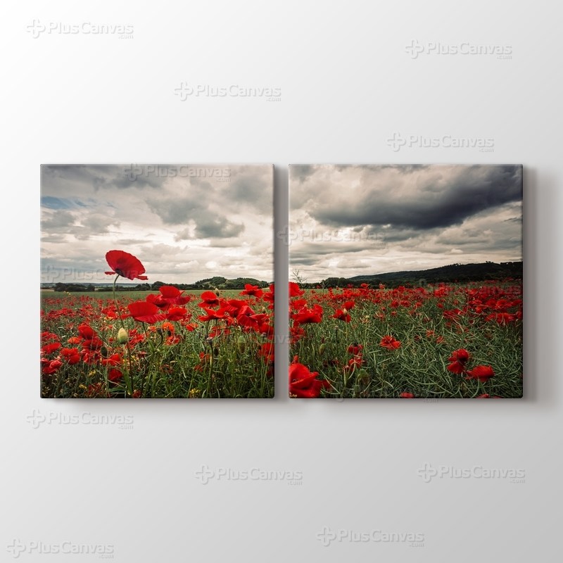 Poppy Field görseli.