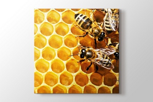 Bees on Honeycomb görseli.