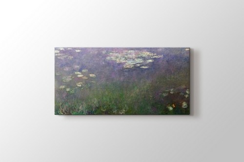 Water Lilies - Agapanthus görseli.