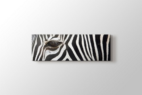 Zebra görseli.