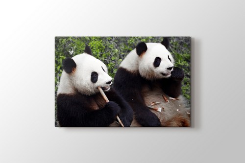 Eating Pandas görseli.
