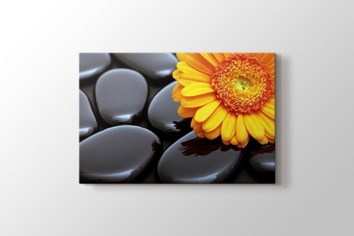 Black Pebbles and Flower görseli.