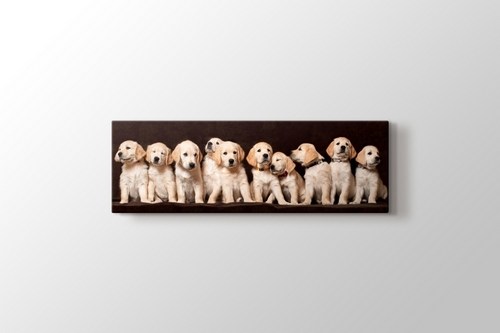 Köpek Yavruları görseli.
