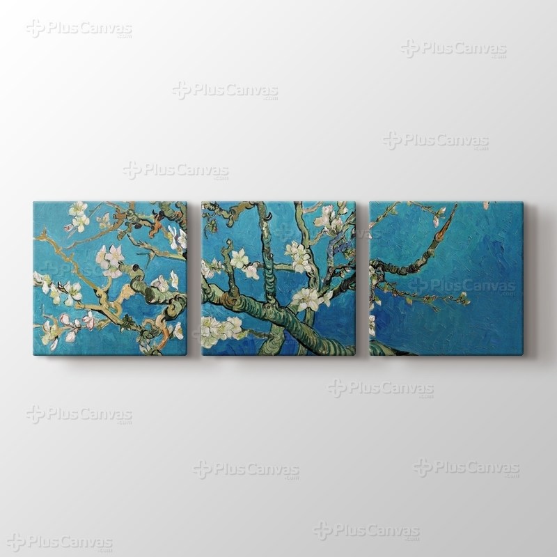 Çiçek Açan Badem Ağacı - Almond Blossom görseli.