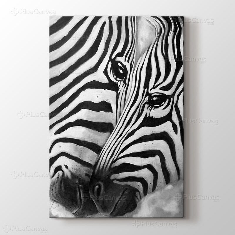 Zebra görseli.