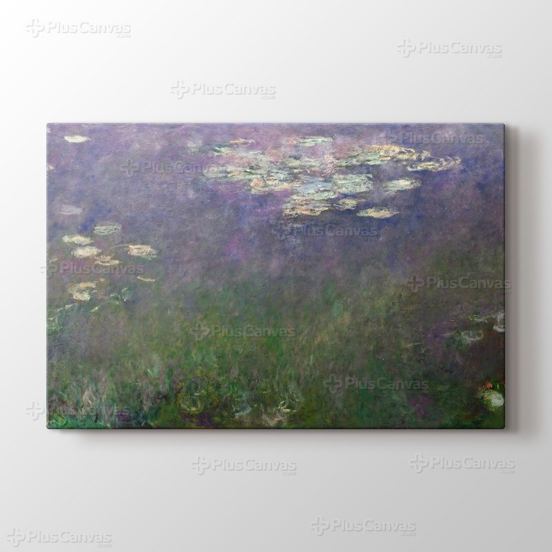 Water Lilies - Agapanthus görseli.
