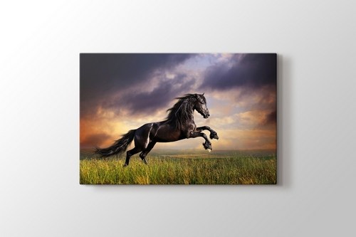 Black Friesian Horse görseli.