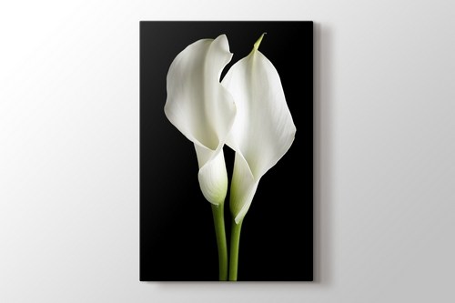 Lillies on Black görseli.