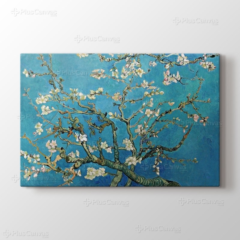 Çiçek Açan Badem Ağacı - Almond Blossom görseli.