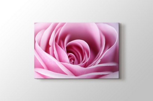 CloseUp Pink Rose görseli.