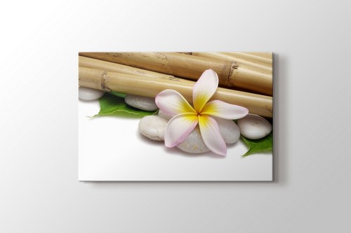 Bamboo görseli.