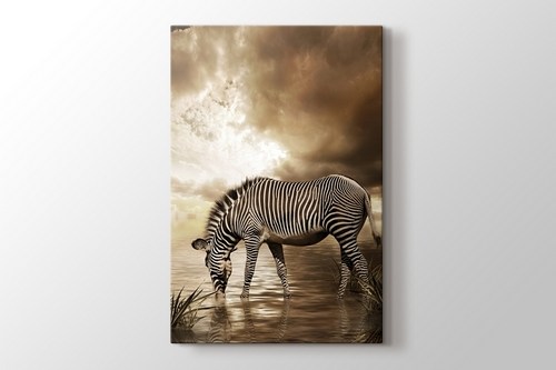 Zebra görseli.