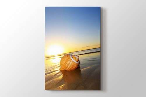 Sea Shell on Sand görseli.