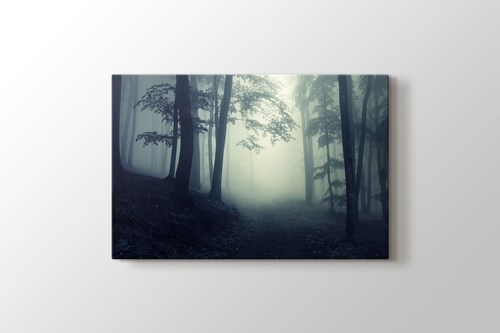 Forest görseli.