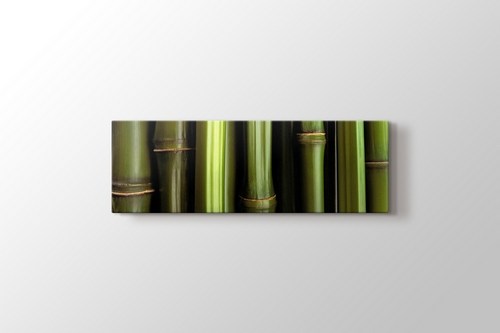 Bamboo görseli.