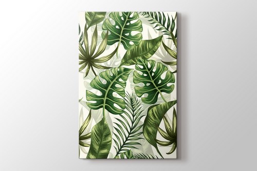 Monstera görseli.
