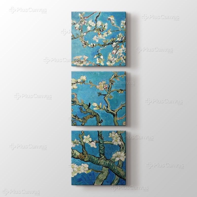 Çiçek Açan Badem Ağacı - Almond Blossom görseli.