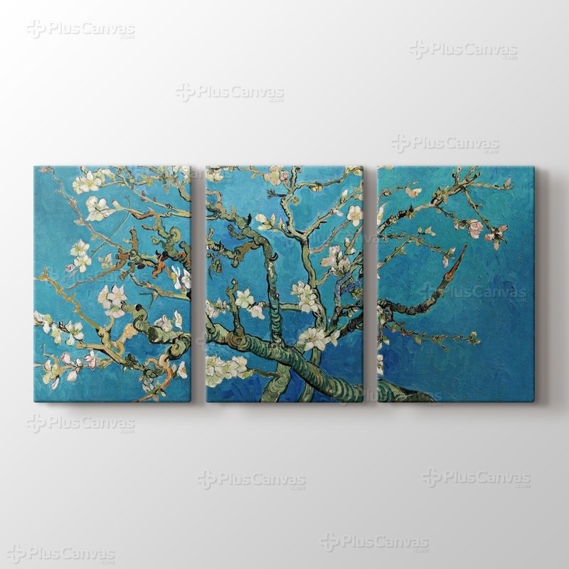 Çiçek Açan Badem Ağacı - Almond Blossom görseli.