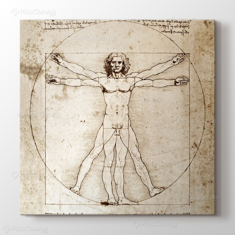The Vitruvian Man 1498 görseli.