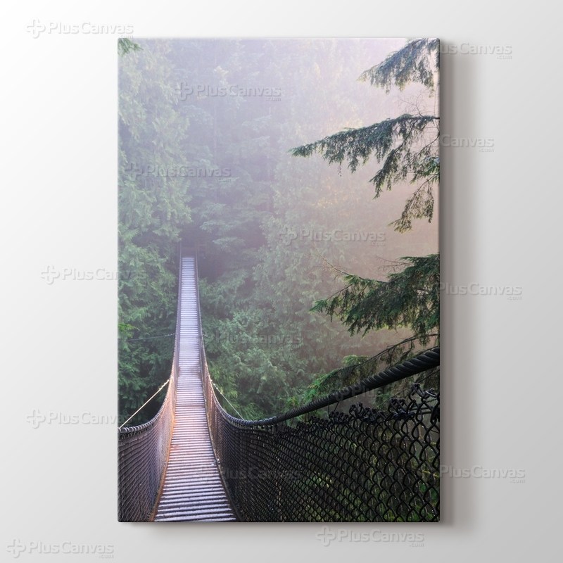 Kanada Lynn Canyon Park görseli.
