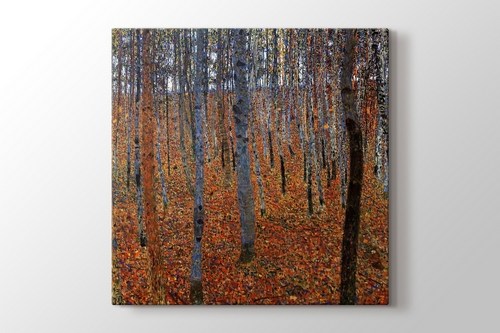 Beech Grove görseli.