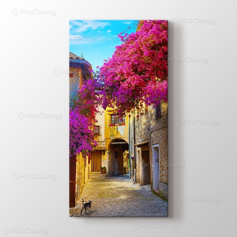 Erguvan ve Provence Sokakları görseli.