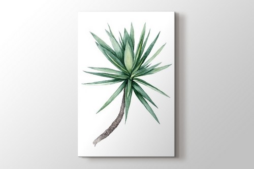 Watercolor Yucca Tree görseli.