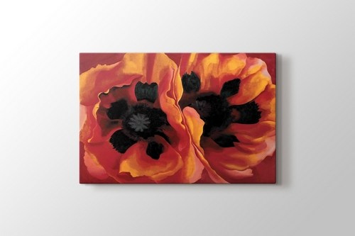 Oriental Poppies görseli.