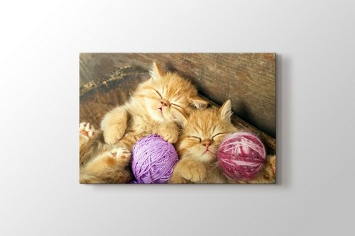 Kedi Yavruları görseli.