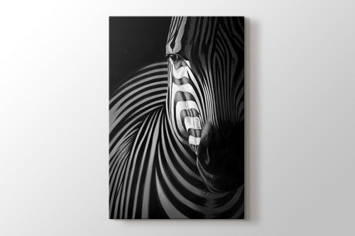Zebra görseli.