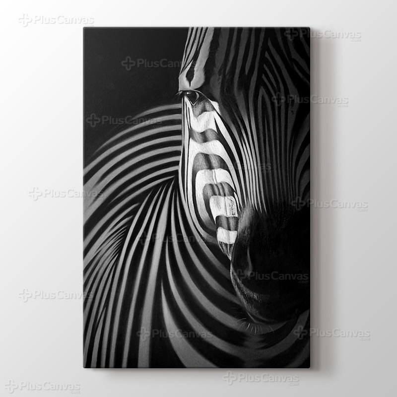 Zebra görseli.