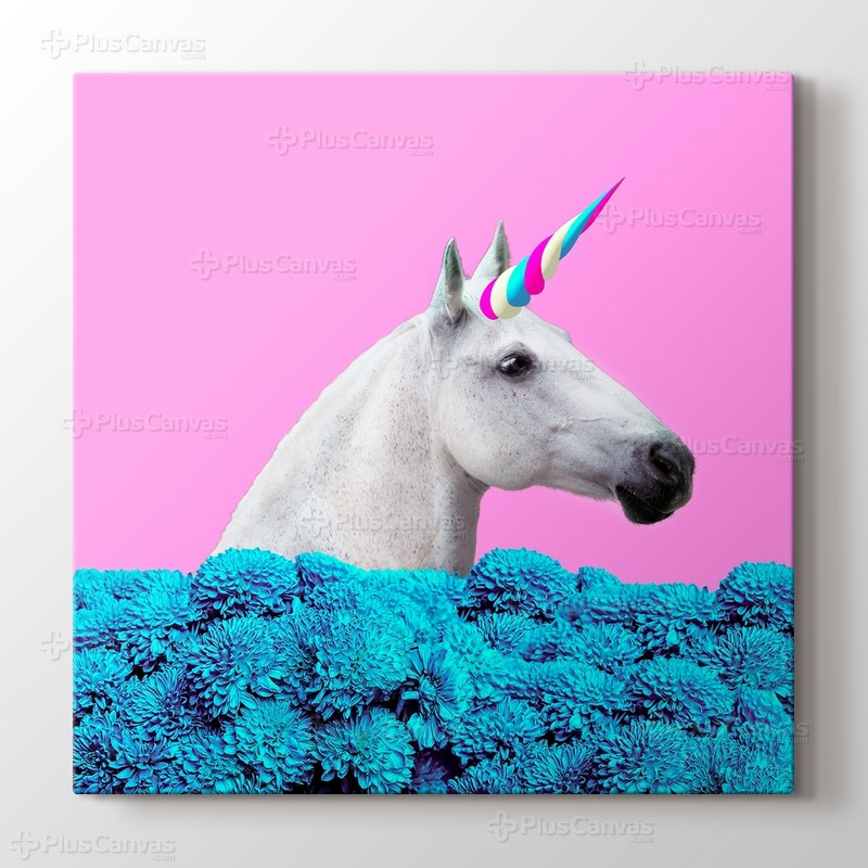 Unicorn görseli.