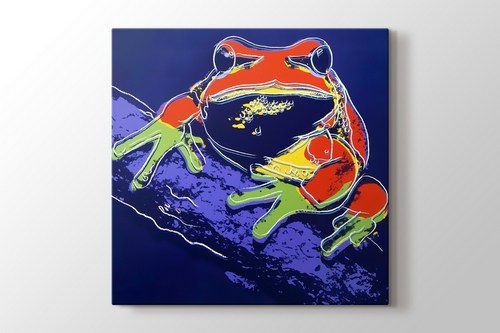 Frog görseli.